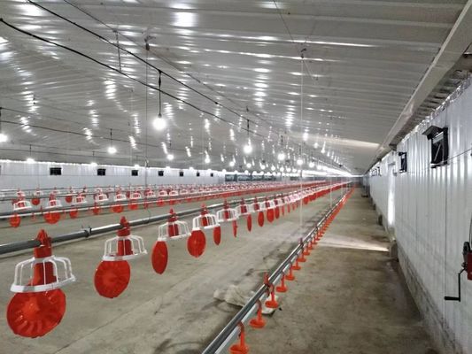 Cấu trúc thép galvanized Nhà gia cầm Chicken Coop Nhà trang trại chế tạo sẵn tùy chỉnh