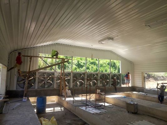 Cấu trúc thép nhẹ Prefab Nhà gia cầm ốp thép ốp gà
