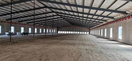Cấu trúc thép tiền chế Nhà gia cầm Q235B Q355B Nhà gà khung thép
