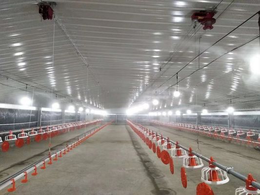 Cấu trúc thép đúc galvanized nhà gia cầm nhà gà nhà gà Coop chống cháy