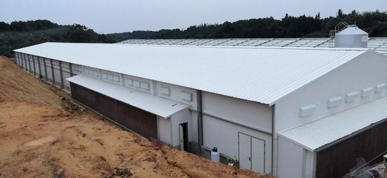 Cấu trúc thép trang trại tùy chỉnh chuồng gia cầm Q235B Q355B Bảng thép kẽm
