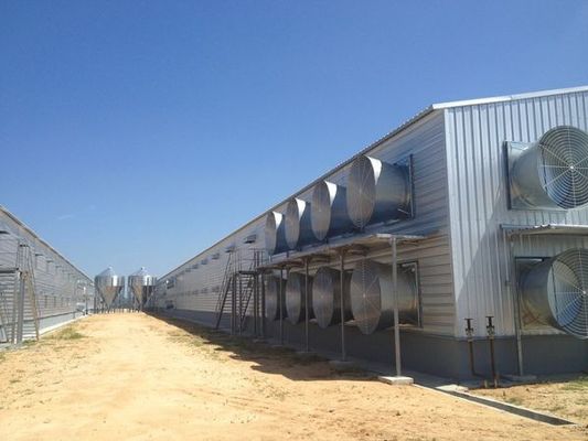 Xây dựng thép cao tầng cho nhà gia cầm