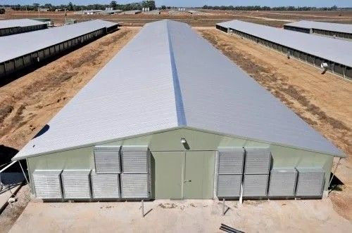 Cấu trúc thép mô-đun Nhà gà Chicken House Broiler House Farm Shed Tòa nhà gia cầm Tòa nhà kho sẵn chế tạo