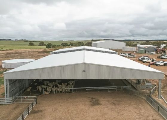 Nhà kho, nhà xưởng kết cấu thép tiền chế cao tầng, khẩu độ lớn, tường hở
