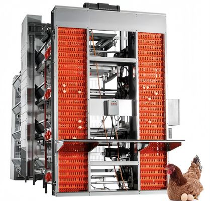 Một loại pin lớp lồng gà tự động gia súc gia cầm gà